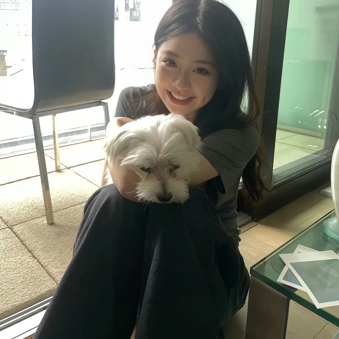 间谍过家家Part2